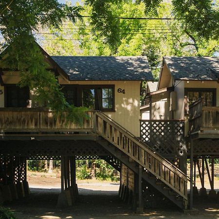 Johnson'S Beach Cabins And Campground Guerneville Exterior photo